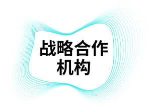 战略合作机构